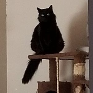 Meet your Posher, Kylie